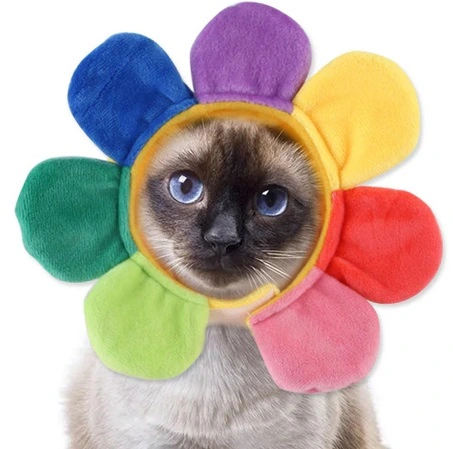 Шапка для собак и кошек Ромашка, цвет как на фото, р ХL_6