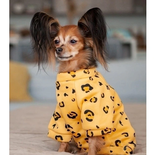 Кофта - толстовка для мелких пород собак BRO Style, принт леопард, р 2XL (на флисе)_5