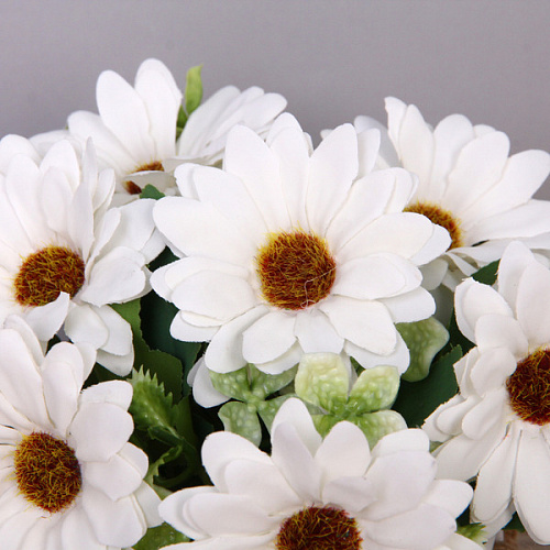 Цветочная композиция Мечта 1020см Ромашки белые_7